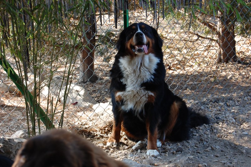 Chantie (dite carry) du domaine de la bodegua